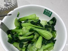 -绿草地·湘菜(芙蓉天街店)