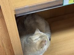 -联合动物医院(光谷诊疗中心)