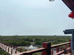 -北海金海湾红树林生态旅游区