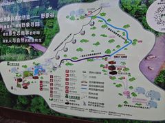 -野象谷景区