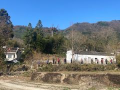 -塔川景区