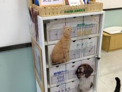 -中农大我爱我爱动物医院·核磁CT·猫病·24小时夜诊中心(石佛营店)