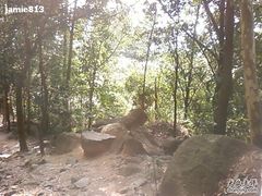 -火炉山森林公园