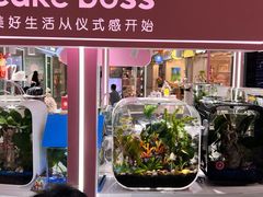-CAKE BOSS 蛋糕老板(北京世纪金源购物中心)