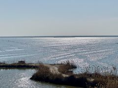 -盐城丹顶鹤湿地生态旅游区