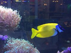 -乐享养生(东湖店)