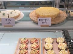 -猫里有甜