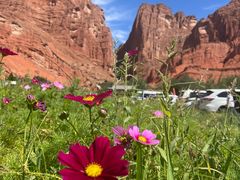 -天山神秘大峡谷