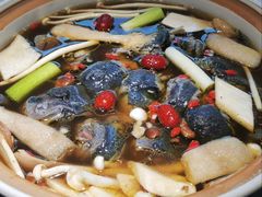 -土连锅·现熬养生汤锅(梁家巷店)