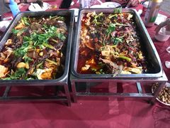 -重庆火锅水库鱼庄(南油店)