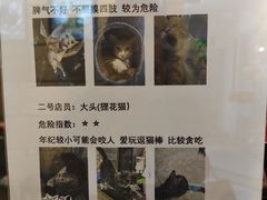 -逃脱反斗城沉浸剧情密室(北京路店)