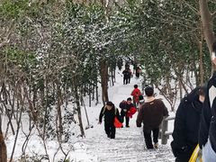 -紫金山山顶公园