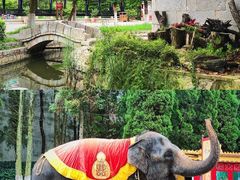 -云南民族村