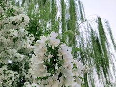 -元大都城垣遗址公园