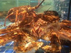 -阿明小菜·海鲜·上海菜(梅陇华理店)