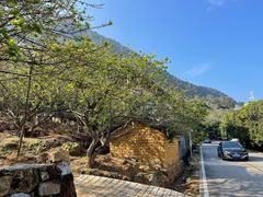 -广州市流溪河国家森林公园