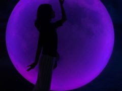 -天津梵高星空艺术馆(天河城旗舰店)