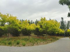 -东郊湿地公园