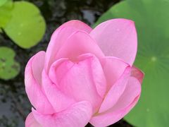 -昆山城市生态森林公园