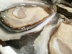 -斯普汇生蚝牛排馆(中骏世界城店)