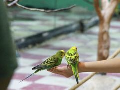 -上海昆虫博物馆