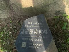 -深圳仙湖植物园