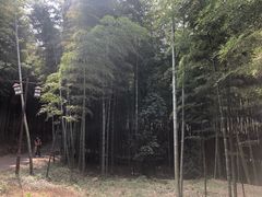 -苏州环秀晓筑养生度假村