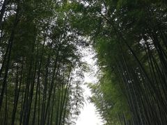 -穹窿山景区