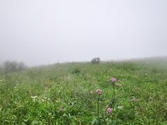 -白草畔自然风景区