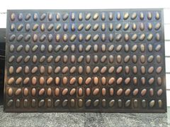 -国家大剧院西餐厅