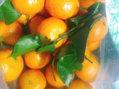 -鲜丰水果(九洲新世界花苑店)