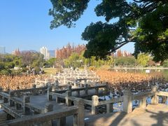 -江心屿景区