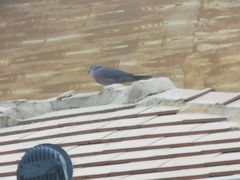 -恒大世纪梦幻城