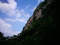 -陕西省红河谷森林公园