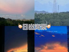 -大亚湾红树林城市湿地公园