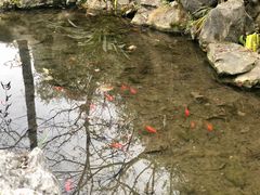 -中国茶叶博物馆(双峰馆区)
