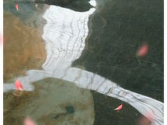 -青岛海泉湾度假区温泉