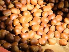 -阿男野栗王(金门路店)