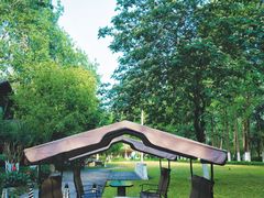 -合肥滨湖国家森林公园