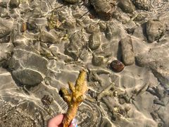 -三亚西岛海洋文化旅游区