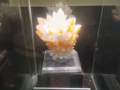 -中华赏石园