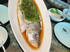 太湖白鱼-苏帮袁Sue Cuisine(南开大悦城店)