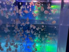 -南昌融创海世界