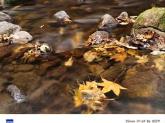 -三块石国家森林公园