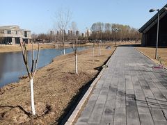 -西安浐灞国家湿地公园