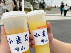 -小麦岛公园