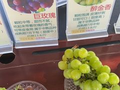 -马陆小张葡萄园农家乐