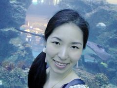 -迪拜水族馆及水下动物园