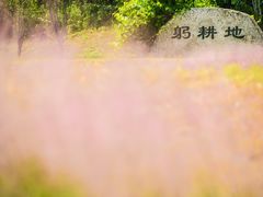 -光明小镇欢乐田园