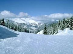 -武陵山森林公园